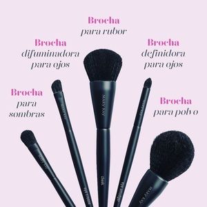 Mary Kay Essential brush collection